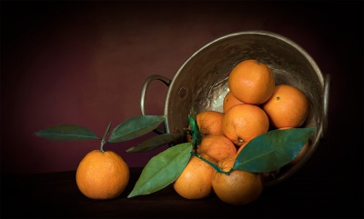Cesto metálico com tangerinas laranjas e folhas verdes