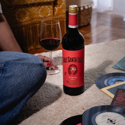 https://www.aaraoribeirovinhos.pt/product/vale-santa-luzia-tinto-2023