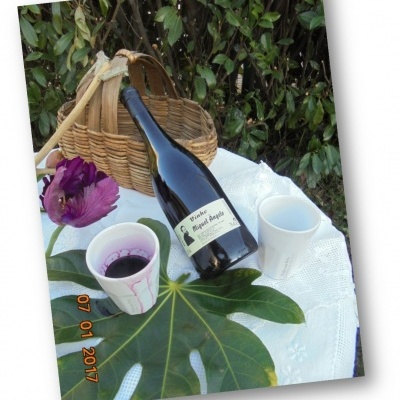 Garrafa de vinho e duas taças sobre mesa com folha verde, cesta de verga e flor roxa