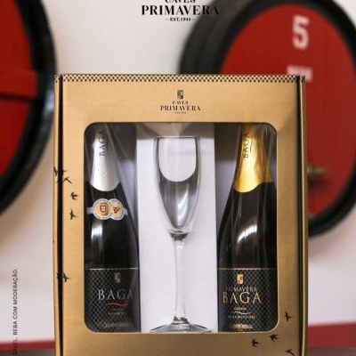 https://www.aaraoribeirovinhos.pt/product/conjunto-de-2-espumante-baga-primavera-bruto-e-extra-bruto-copo-de-espumante