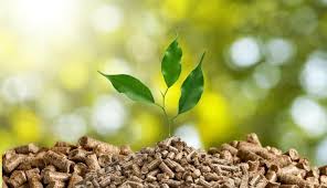 Planta jovem a crescer em pellets de madeira castanha com fundo verde desfocado