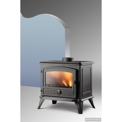 Lareira a lenha preta de ferro fundido com porta de vidro e fogo visível