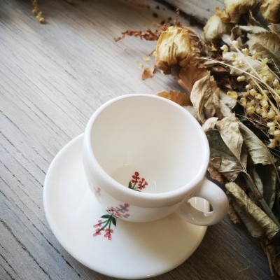 Conjunto de chávena e pires em cerâmica branca com flores vermelhas e verdes ao lado de flores e folhas secas