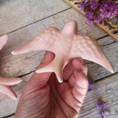 Estrela-do-mar decorativa cor-de-rosa segurada por uma mão sobre madeira rústica