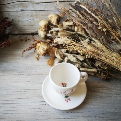 Conjunto de chá em porcelana branca com padrão floral vermelho sobre madeira cinzenta com flores secas ao fundo