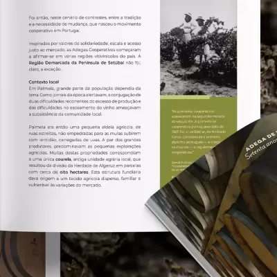 Página aberta de livro ilustrado com texto em português e foto antiga de mulheres a trabalhar em vinha