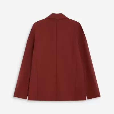 Blazer feminino castanho visto de costas