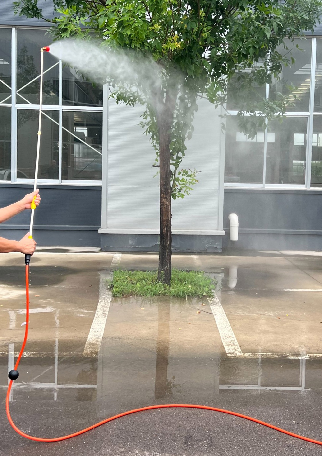 Mangueira a pulverizar água numa árvore em parque de estacionamento.