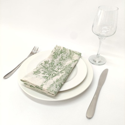 Conjunto de mesa de jantar com pratos brancos, guardanapo verde, talheres metálicos e taça de vidro