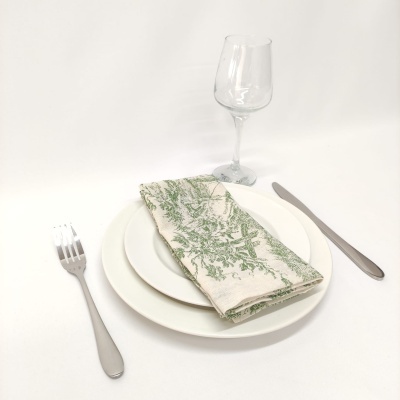 Conjunto de serviço de mesa com pratos brancos, guardanapo branco e verde, talheres metálicos e copo de vinho em vidro