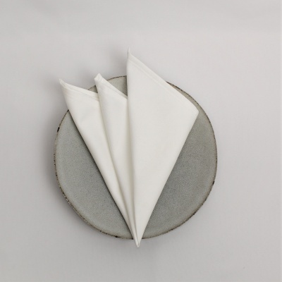 Prato cinza com guardanapos brancos dobrados em forma de cones