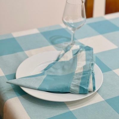 Toalha de mesa azul e branca xadrez com prato, guardanapo e copo em cima