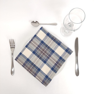 Talheres metálicos com guardanapo xadrez azul e copo de vidro em fundo branco