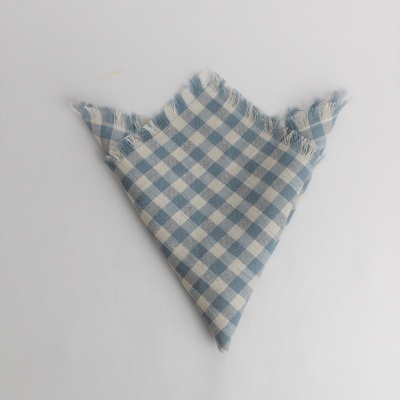 Pano xadrez azul e branco com bordas desfiadas sobre fundo branco