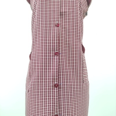 Vestido tipo avental xadrez vermelho e branco com botões e bolsos