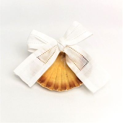 Concha decorativa amarela com laço branco em fundo branco