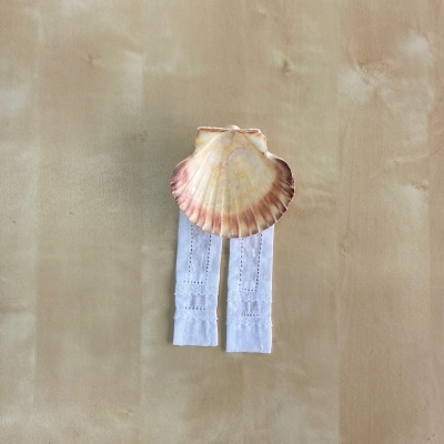 Concha natural em tons castanho-avermelhados e creme com duas faixas de tecido branco rendado colocadas sobre fundo bege.