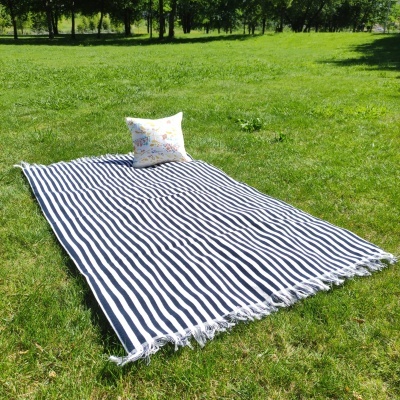 Tapete ou toalha de piquenique riscas azul e branco com almofada branca colorida na relva