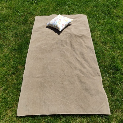 Tapete bege com almofada floral sobre relva verde.