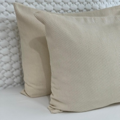 Duas almofadas bege claro com padrão listrado diagonal em fundo branco texturizado.