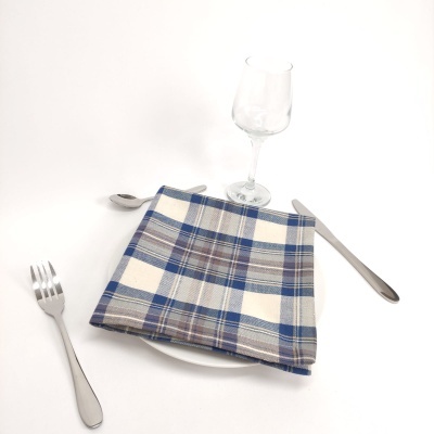 Talheres, guardanapo às riscas azuis e brancas, prato branco e taça de vidro sobre fundo branco