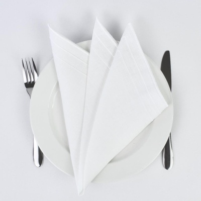 Guardanapo branco dobrado sobre prato branco com talheres ao lado