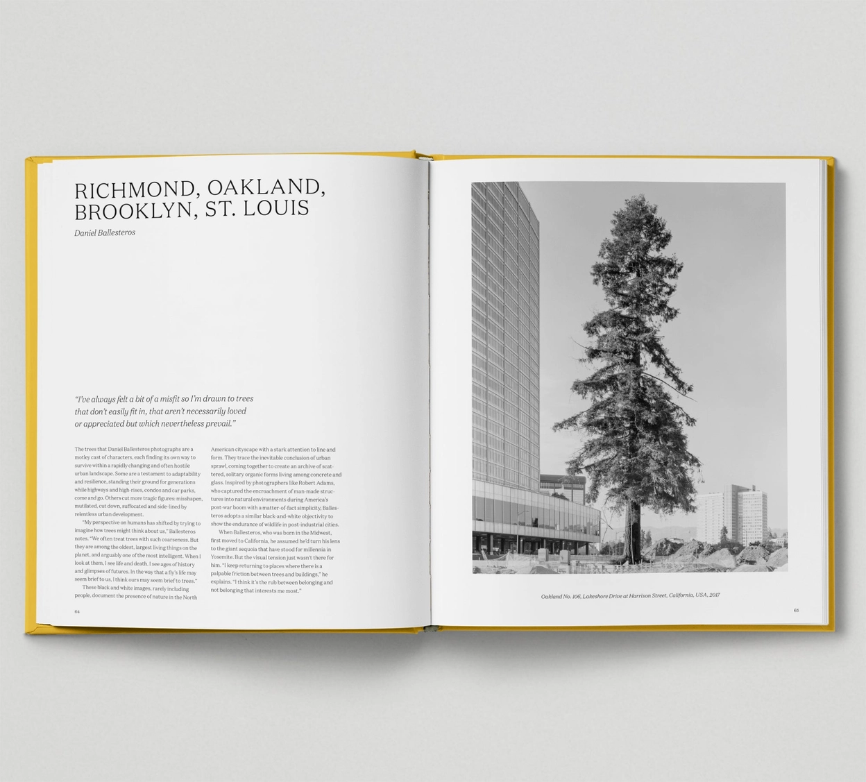 LOOKING AT TREES - HOXTON MINI PRESS Livro aberto com texto e fotografia a preto e branco de uma árvore junto a edifícios.
