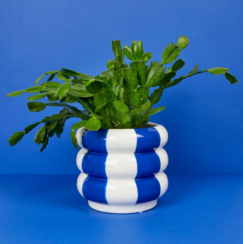 VASO EM CERÂMICA AZUL EM FORMA DE BOIAS EMPILHADAS BALVI Vaso cerâmico branco e azul com planta verde