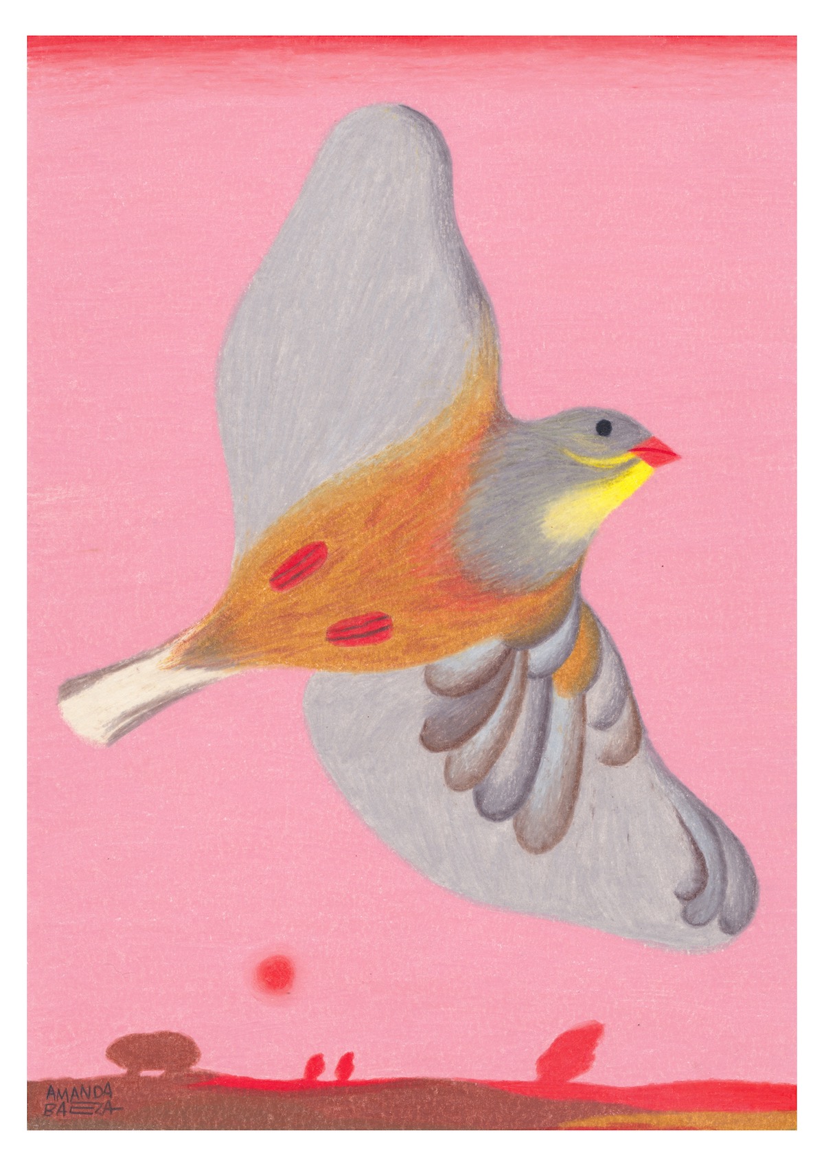 ORIGINAL "SOMBRIA" AMANDA BAEZA Ilustração colorida de um pássaro em voo sobre fundo rosa