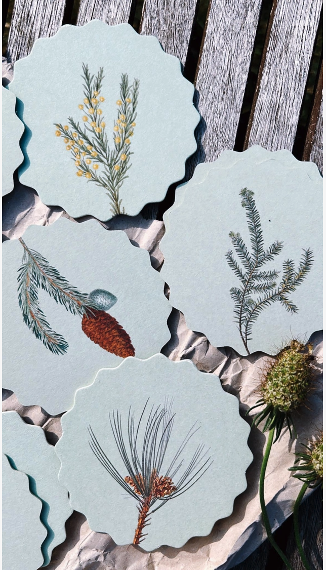 COASTER SET WINTER DESIGN 30X40 Porta-copos cinza com ilustrações botânicas sobre mesa de madeira.