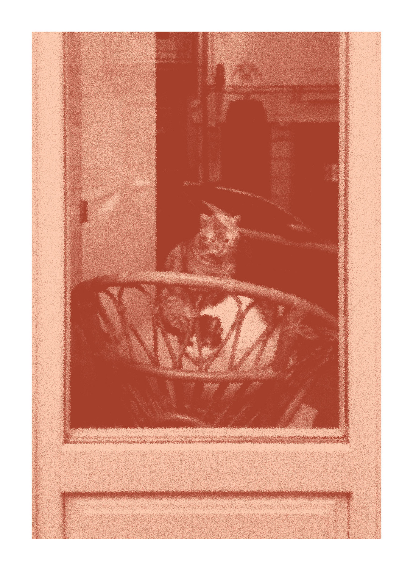 FOTOGRAFIA "SÃO BENTO DA VITÓRIA I" SARA FELGUEIRAS Porta de madeira com vidro mostrando um gato e cadeira de vime no interior