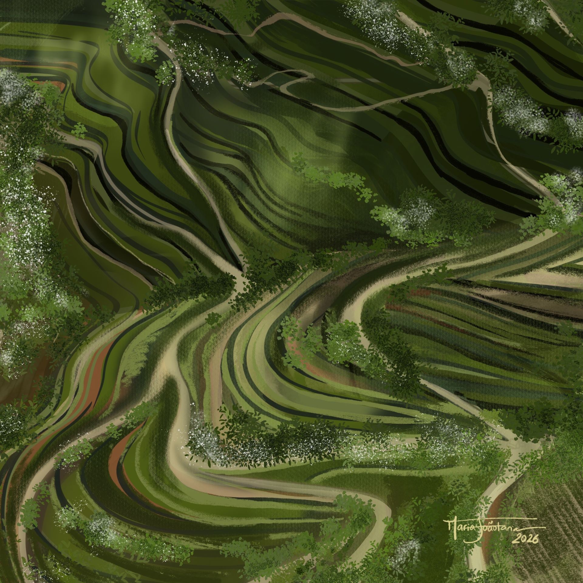 ILUSTRAÇÃO "DOURO II" MARIA JOÃO FARIA Campos de arroz em socalcos verdes em estilo digital com vegetação branca e assinatura no canto inferior direito