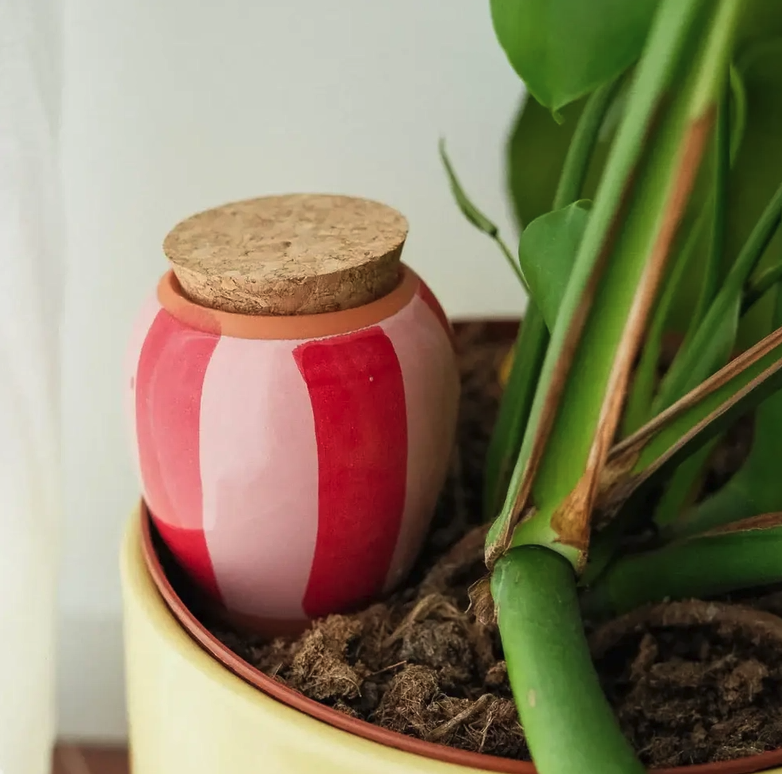HYDRATING OLLA - RISCA ROSA E VERMELHO PEPIN Recipiente de cerâmica com tampa de cortiça decorado com riscas rosa e vermelho próximo a planta verde