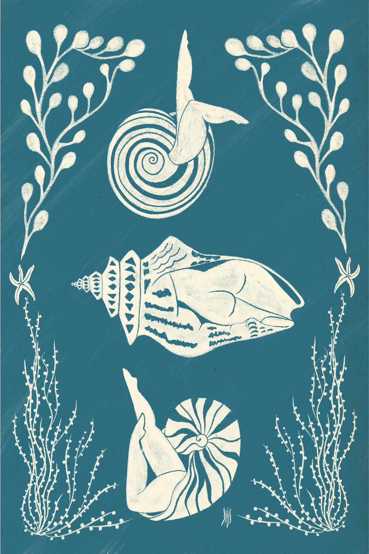 ILUSTRAÇÃO "DEEP BLUE" SUSANA SILVA Ilustração de três conchas brancas e plantas marinhas sobre fundo azul