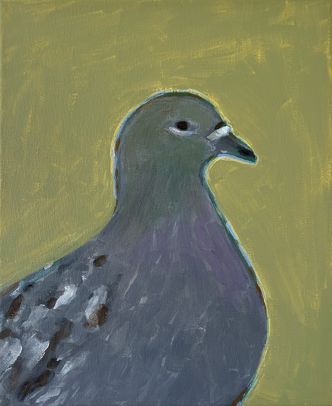 ORIGINAL "POMBO" ANNA TUPOTA Pintura de uma pomba cinzenta com fundo amarelo esverdeado.