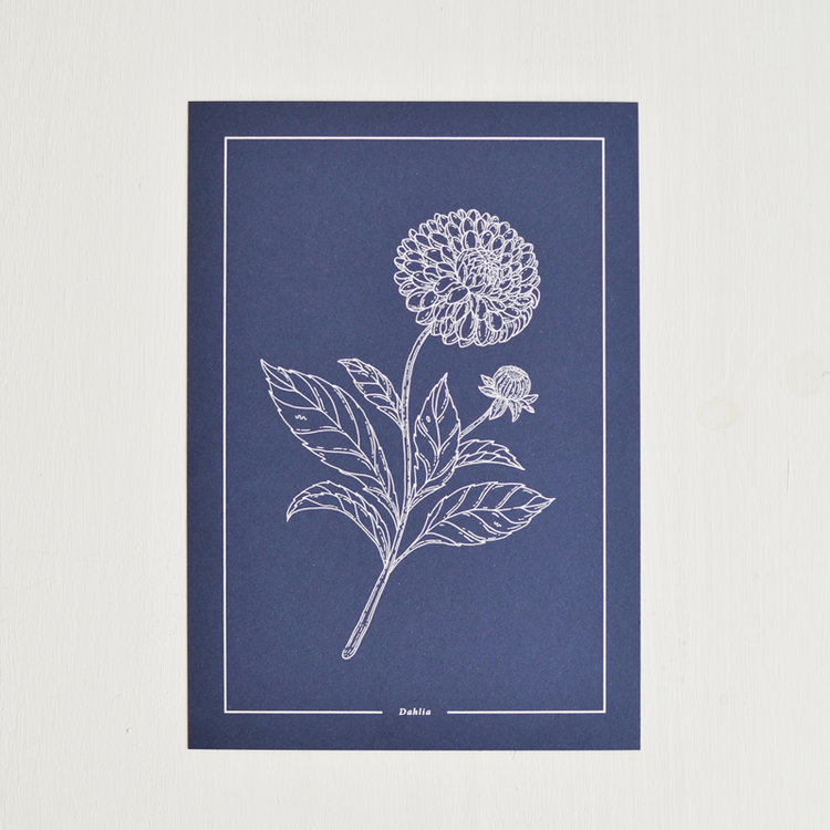 Pôster azul com desenho branco de flor e folhas com texto Dahlia
