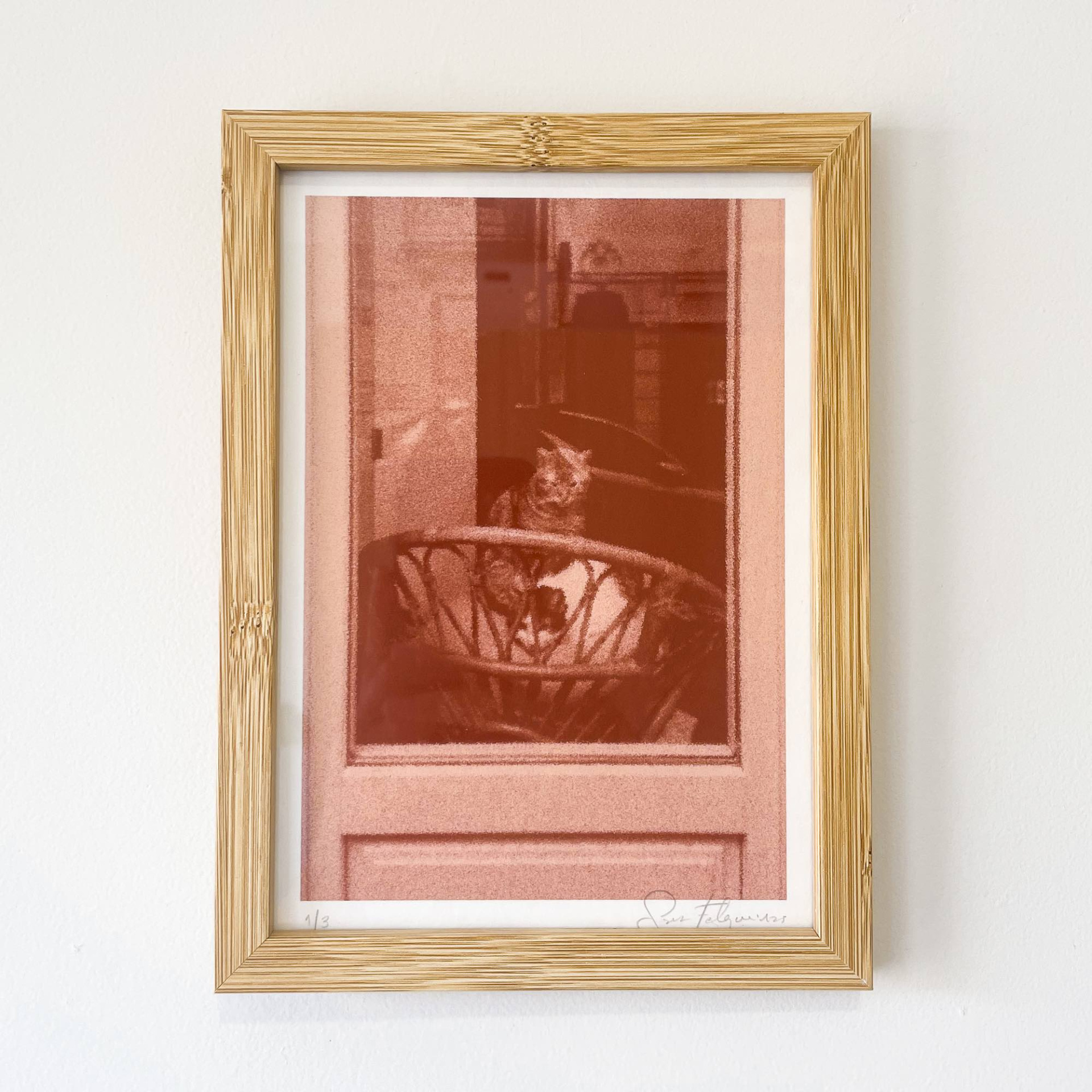 FOTOGRAFIA "SÃO BENTO DA VITÓRIA I" SARA FELGUEIRAS Poster decorativo com imagem em tons vermelhos de um gato num cesto e moldura de madeira clara
