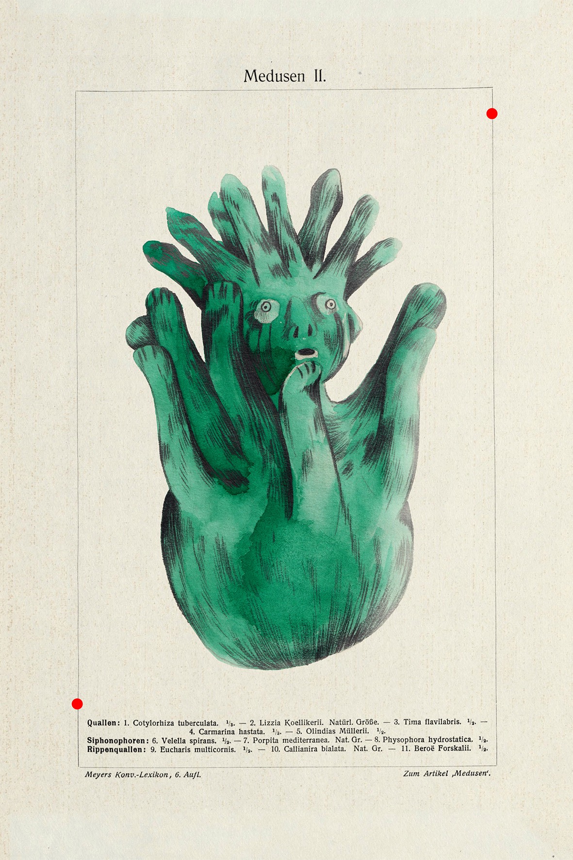 ILUSTRAÇÃO "MEDUSA" CLAUDIA SALGUEIRO Ilustração científica de Medusen II com figura verde de corpo com múltiplos braços e texto em alemão abaixo