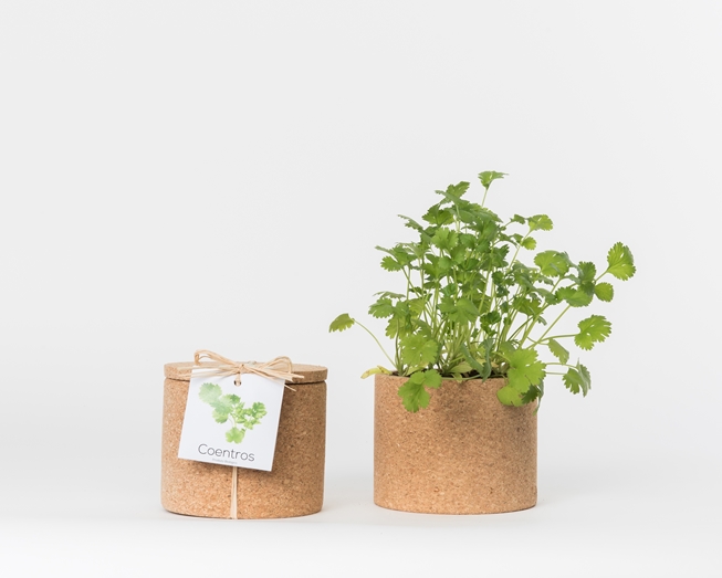GROW CORK "COENTROS" LIFE IN A BAG Dois vasos de cortiça, um com planta de coentros e outro vazio com etiqueta.