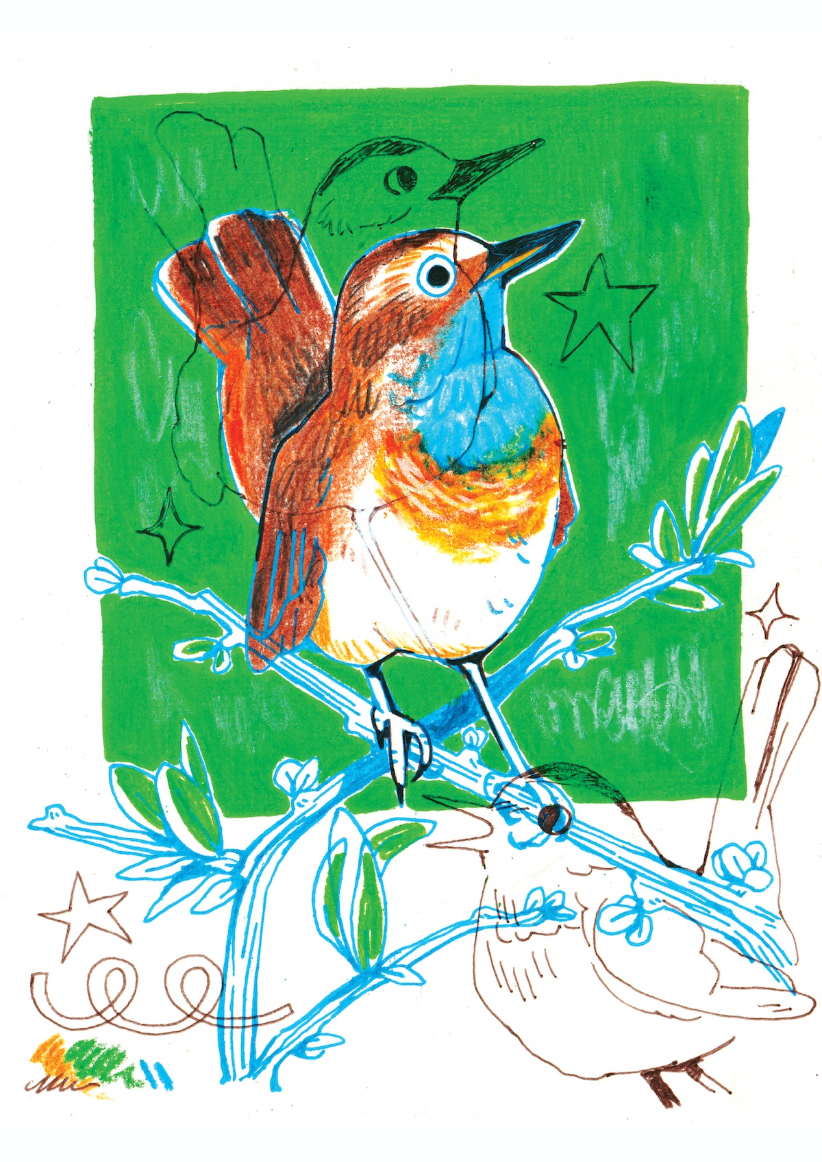 ORIGINAL "PISCO DE PEITO AZUL" Ilustração de dois pássaros em galhos com fundo verde e estrelas desenhadas