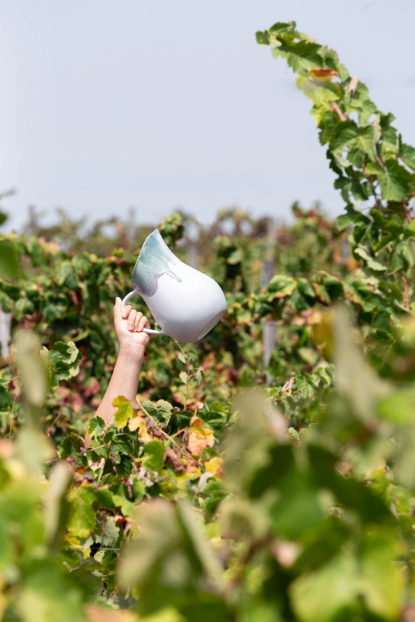 JARRO DOURO EGG BACK HOME Braço segurando jarro cerâmico branco com detalhes verdes entre videiras