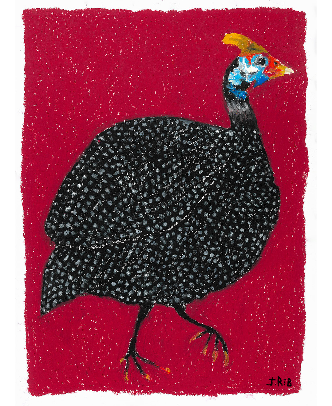 ORIGINAL "GALINHA D'ANGOLA" JEFFERSON RIB Ilustração artística de ave preta e branca sobre fundo vermelho