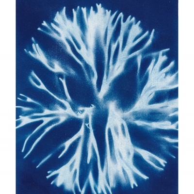 Impressão azul e branca com padrão orgânico em fundo azul