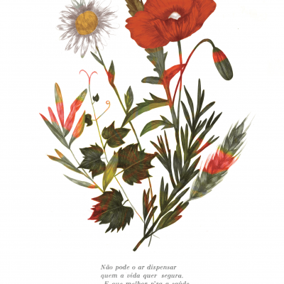 Ilustração de flores vermelhas, verdes e brancas com texto em português