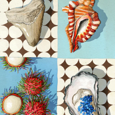 Ilustrações de dente de tubarão, concha, frutos vermelhos espinhentos e ostra com pedras azuis em fundo com padrão circular.