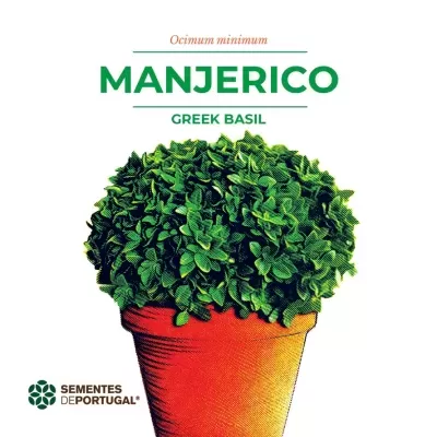 Vaso de barro com planta manjerico e textos informativos