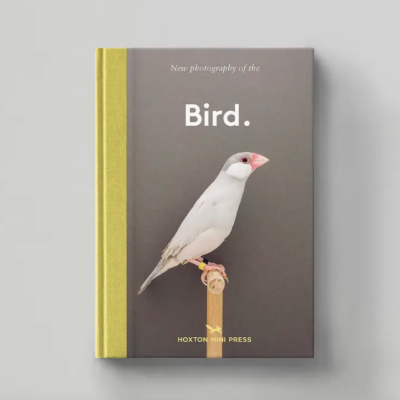 Livro capa dura cinzenta com pássaro branco e lombada amarela