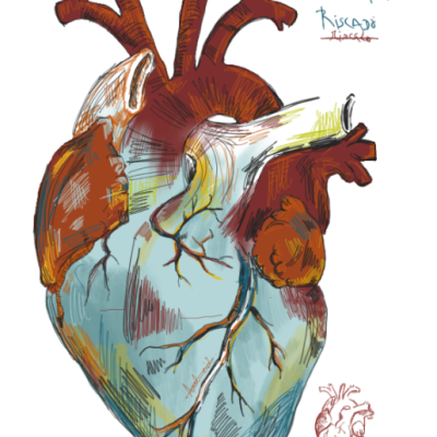 Ilustração colorida de um coração humano anatómico com texto 'CORAÇÃO RISCADO'