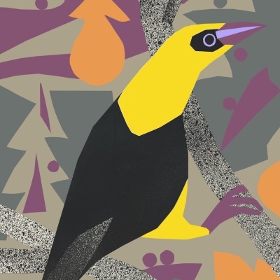 Ilustração de pássaro preto e amarelo com fundo abstrato colorido