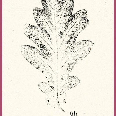 Folha estilizada monocromática com textura pontilhada e moldura vermelha